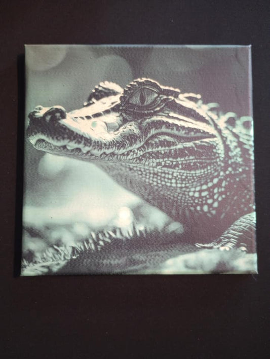 8" x 8" Alligator