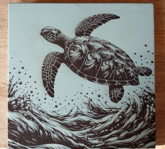 Sea Turtle 1